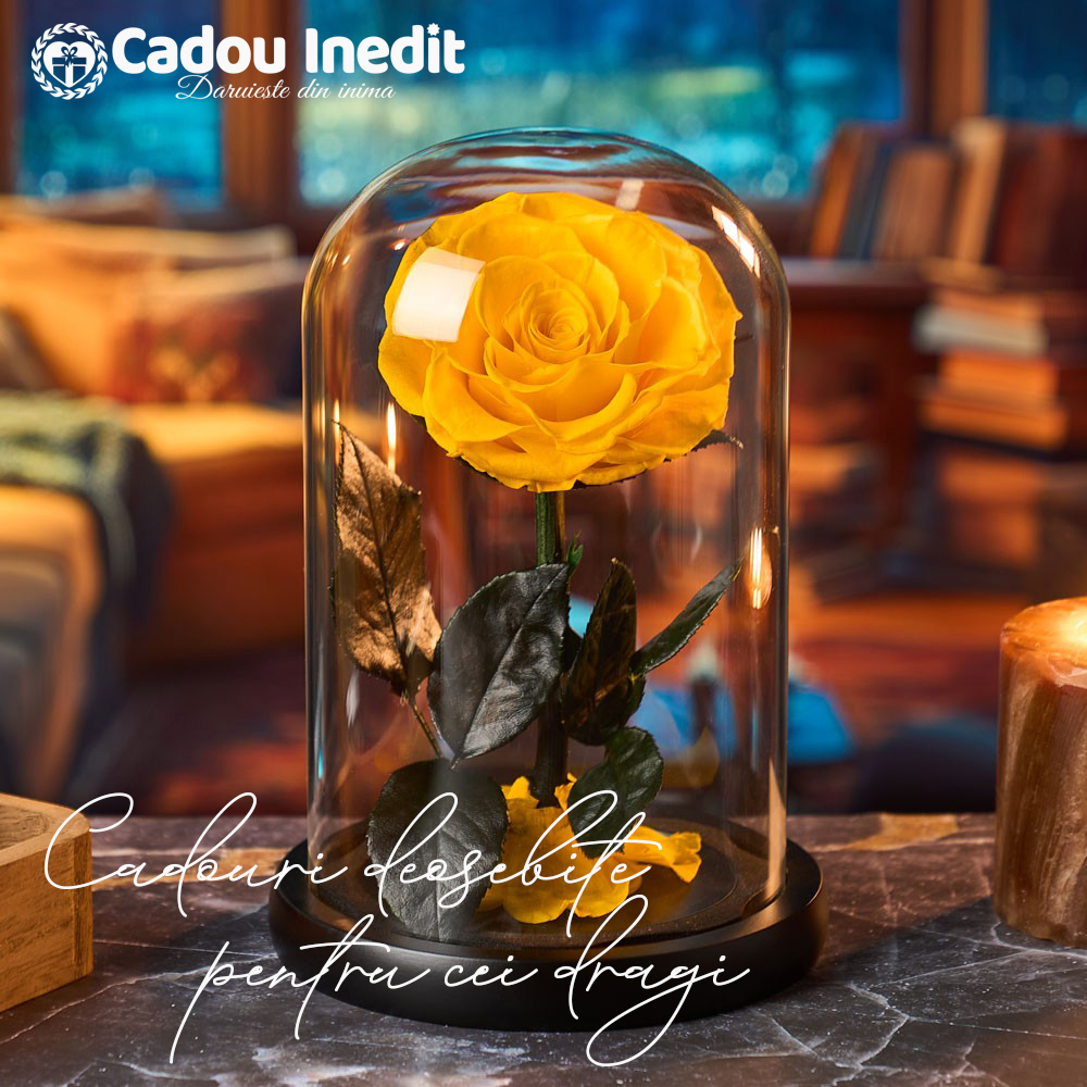 Cadou Inedit transformă gesturile simple în amintiri memorabile. Descoperă puterea unui cadou personalizat, creat cu grijă și emoție autentică.