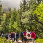 Ce vrea să schimbe ministerul în Școala Altfel și Săptămâna Verde